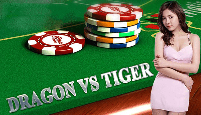 Những kinh nghiệm bạn cần mang theo khi chơi Rồng Hổ Nhung kinh nghiem ban can mang theo khi choi Rong Ho