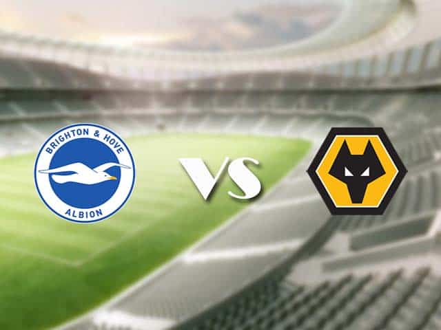 Soi kèo nhà cái trận Brighton vs Wolves, 03/01/2021 Soi kèo nhà cái trận Brighton vs Wolves, 03/01/2021