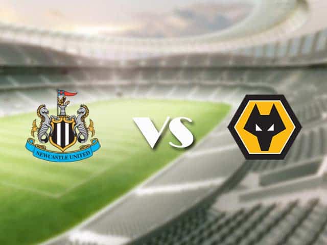 Soi kèo nhà cái trận Newcastle vs Wolves, 28/2/2021 Soi kèo nhà cái trận Newcastle vs Wolves, 28/2/2021