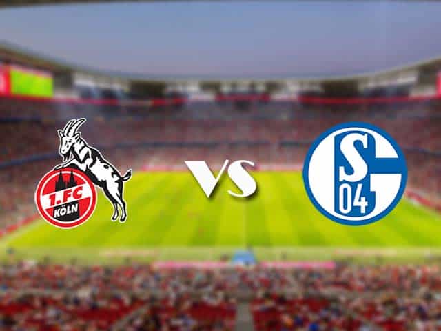 Soi kèo nhà cái trận FC Koln vs Schalke, 22/05/2021 Soi kèo nhà cái trận FC Koln vs Schalke, 22/05/2021