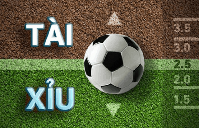 Những điều cần biết khi chơi cá độ bóng đá online ở kèo cá cược tài xỉu Nhung dieu can biet khi choi ca do bong da online o keo ca cuoc tai xiu