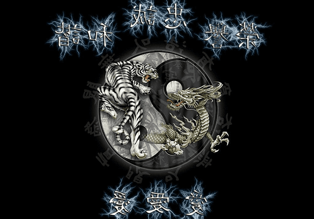 Chi tiết về trò chơi Dragon Tiger Rồng Hổ Chi tiet ve tro choi Dragon Tiger Rong Ho
