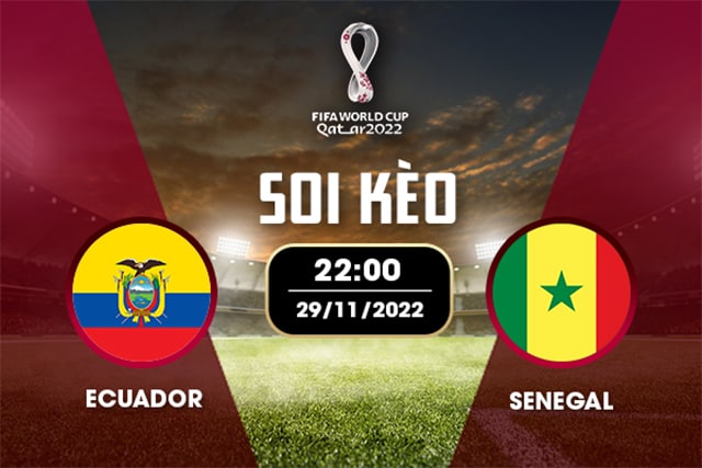 Soi kèo bóng đá SBO Ecuador vs Senegal ngày 29/11/2022 – Vòng bảng World Cup 2022 Soi keo bong da SBO Ecuador vs Senegal ngay 29/11/2022 – Vong bang World Cup 2022