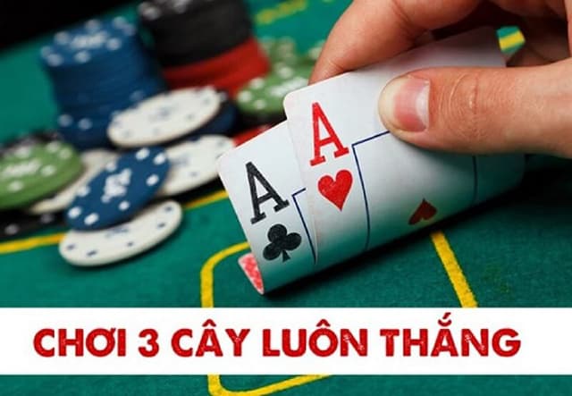 Cơ hội chiến thắng khi tham gia tựa game 3 cây có cao hay không? Co hoi chien thang khi tham gia tua game 3 cay co cao hay khong?