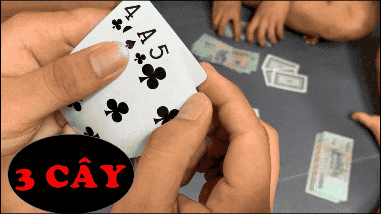 Tham gia chơi Ba cây cùng với kinh nghiệm đỉnh cao để kiếm nhiều lợi nhuận nhất Tham gia choi Ba cay cung voi kinh nghiem dinh cao de kiem nhieu loi nhuan nhat